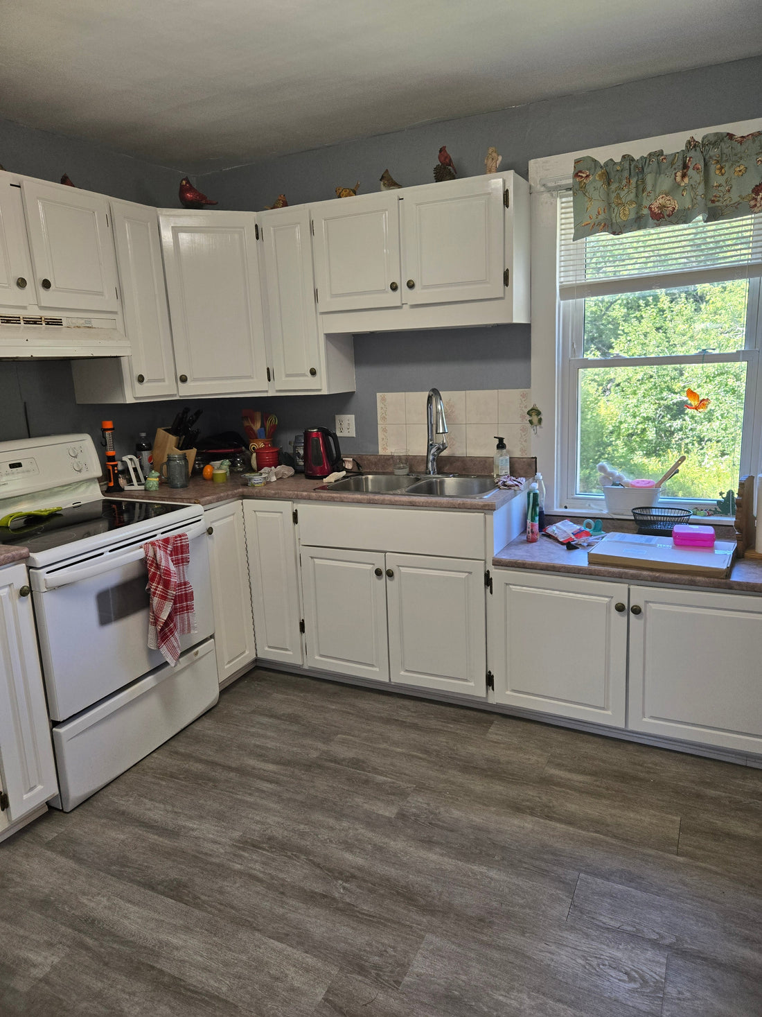 Best Paints for Cupboards That Actually Last