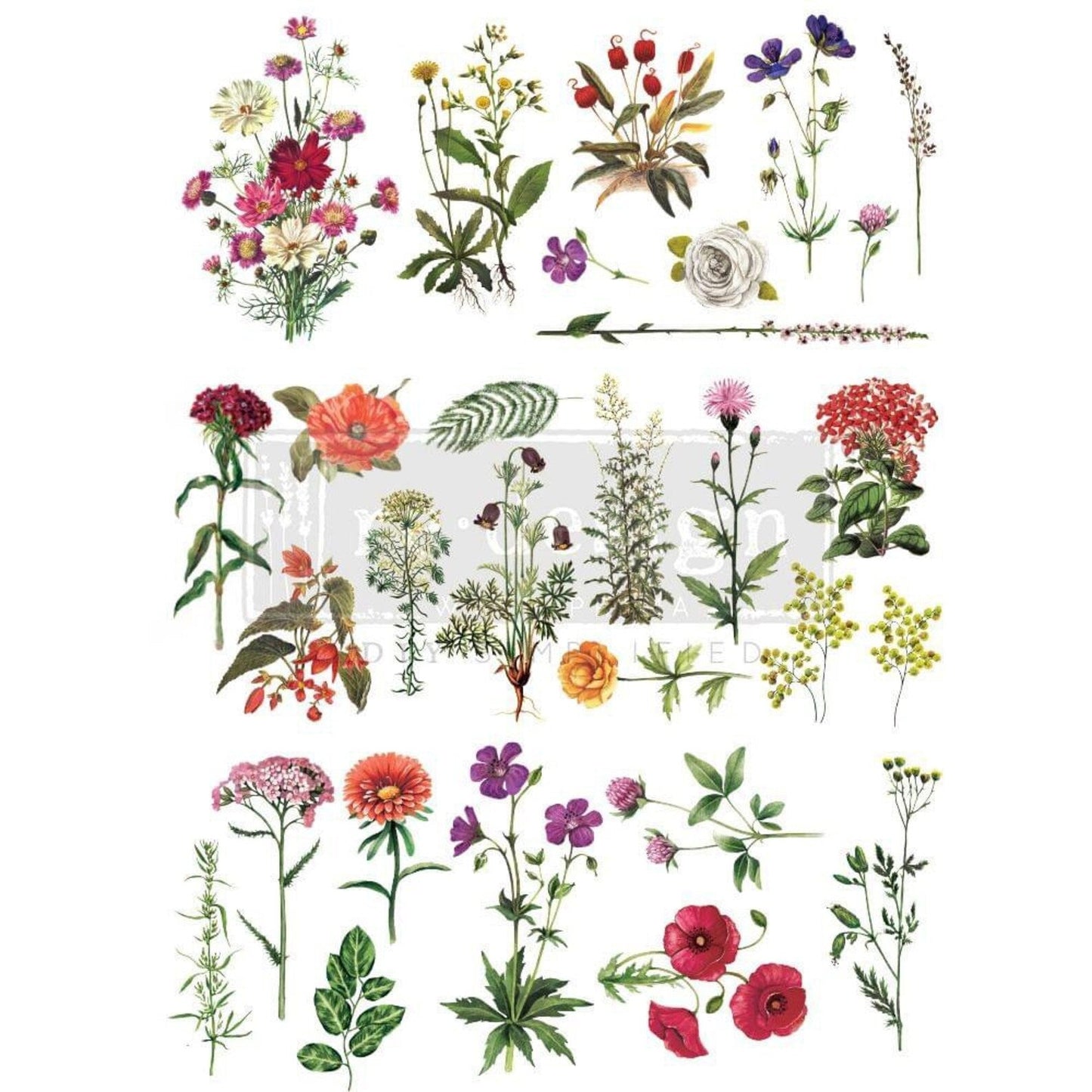Floral Collection Decor Transfer - Regained Relics