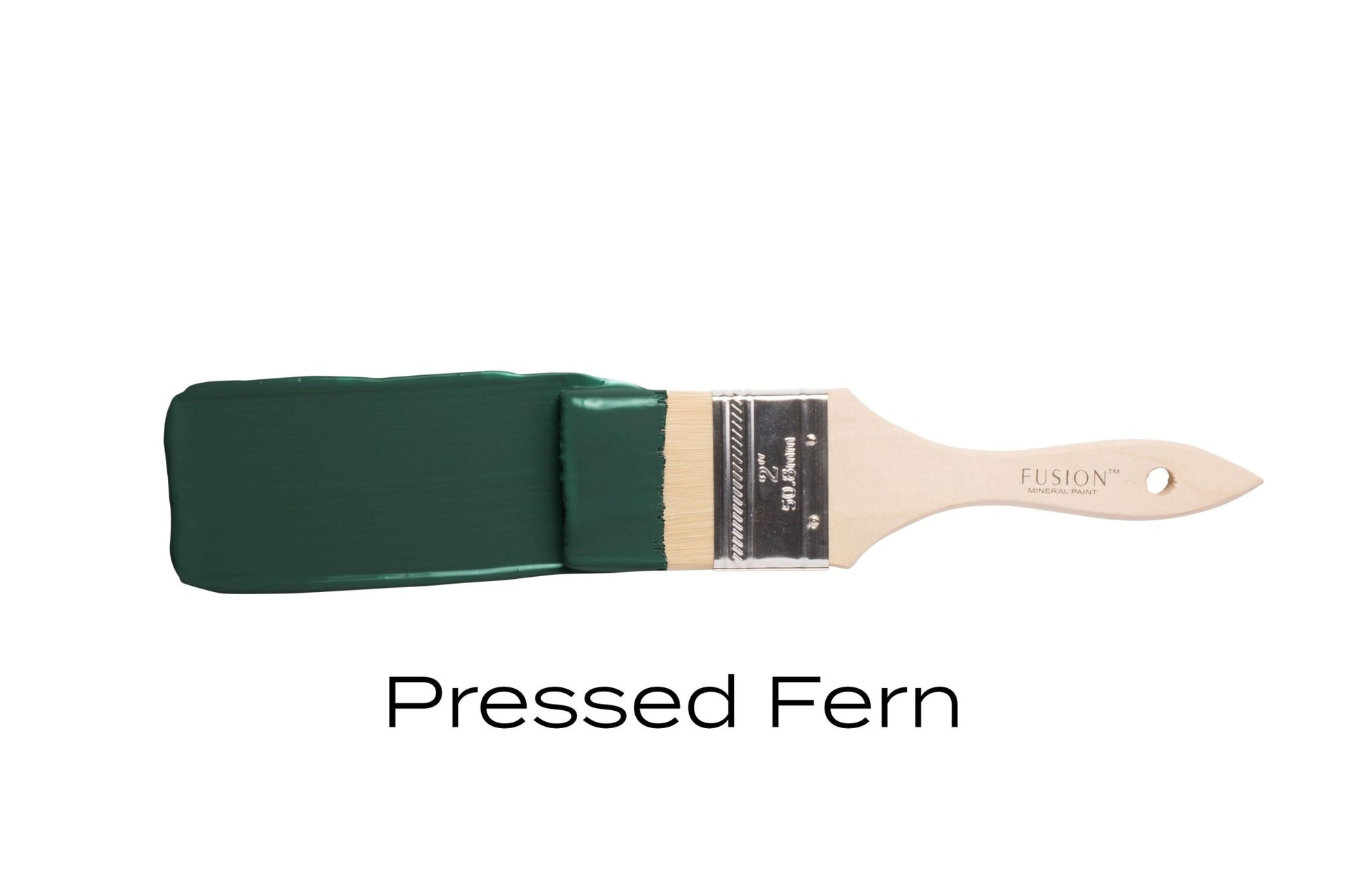 Fusion Mineral Paint Pressed Fern - Regained Relics