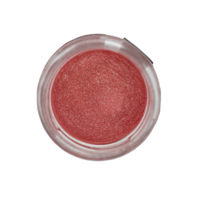 Posh Chalk Pigments - Regained Relics